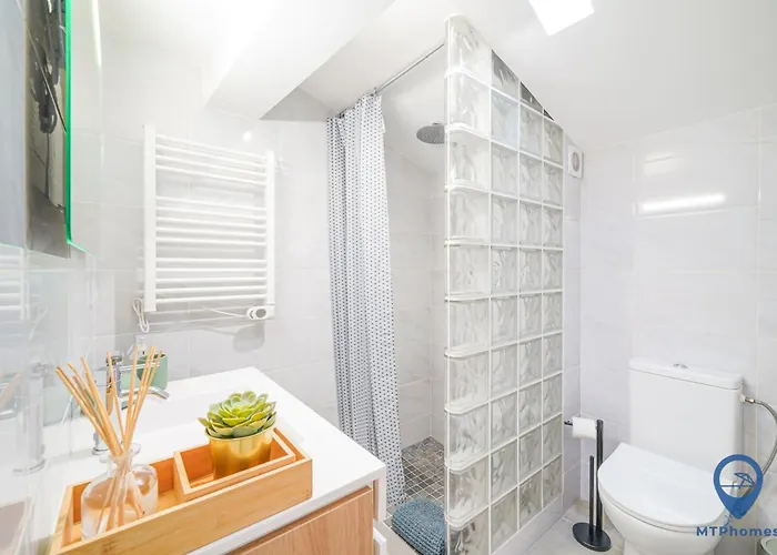 Palmeiras By Mtphomes